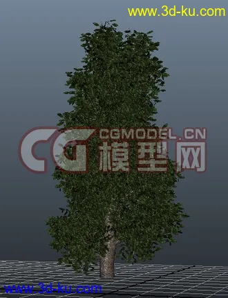 3D打印模型极品树木！！带透明贴图和高光贴图，都经过整理~~的图片