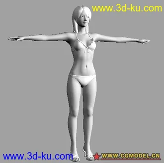 一组黄金比例的男女模型，研究结构的朋友赶紧了的图片