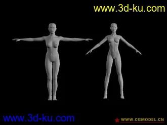 一组黄金比例的男女模型，研究结构的朋友赶紧了的图片