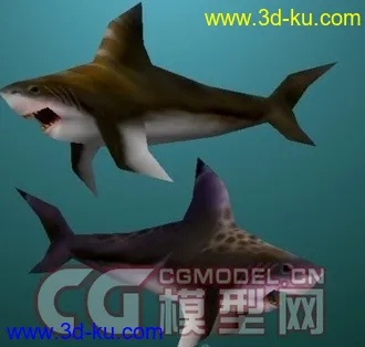 3D打印模型鲨鱼的图片