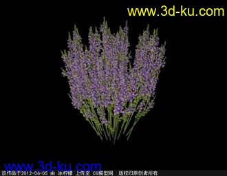 3D打印模型薰衣草的图片