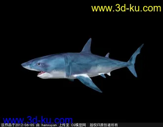 3D打印模型鲨鱼的图片