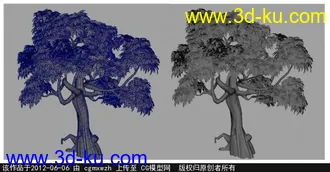 一棵树的模型的图片