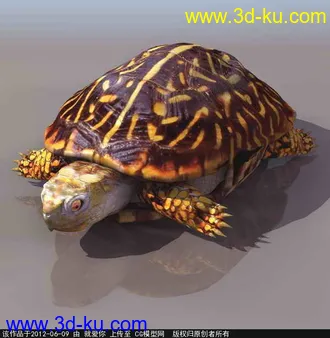 3D打印模型乌龟的图片