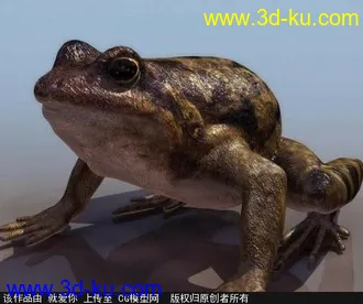 3D打印模型青蛙一只的图片