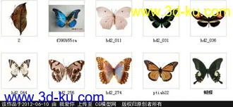 3D打印模型蝴蝶的图片