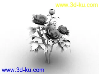 自己做的牡丹花模型的图片