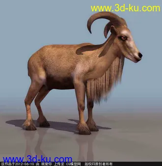 3D打印模型老山羊的图片