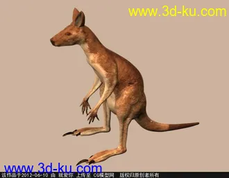 3D打印模型袋鼠的图片