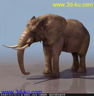 3D打印模型大象的图片