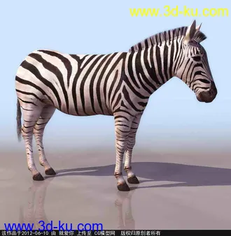 3D打印模型斑马的图片