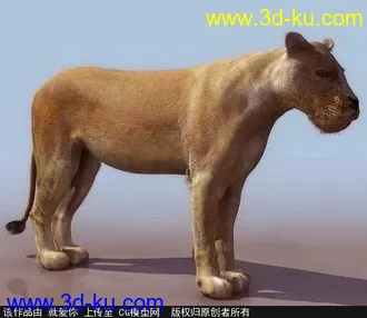 3D打印模型狮子的图片