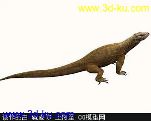 3D打印模型蜥蜴的图片