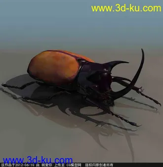 3D打印模型昆虫的图片