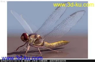 3D打印模型蜻蜓的图片