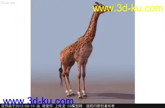 3D打印模型长颈鹿的图片