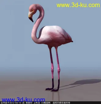 3D打印模型丹顶鹤的图片