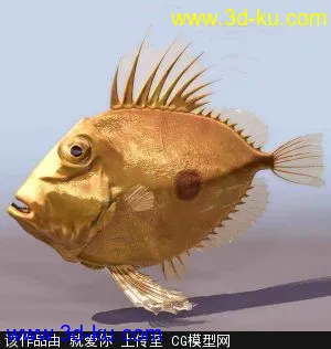 3D打印模型热带鱼的图片