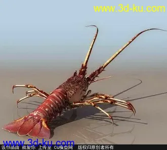 3D打印模型虾的图片