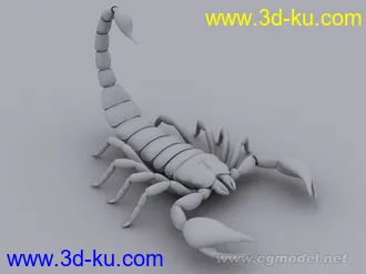 超精细模型——蝎子的图片