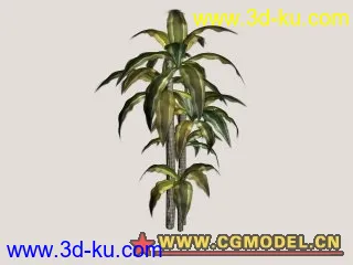 3D打印模型精细植物的图片
