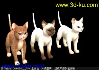 3D打印模型几只可爱的小猫眯（求围观）的图片