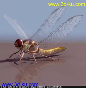 3D打印模型蜻蜓，蜻蜓侠 精模的图片