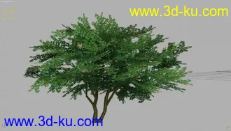 3D打印模型紫薇花的图片