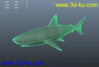 3D打印模型大白鲨 嘿嘿嘿嘿、、、、、的图片