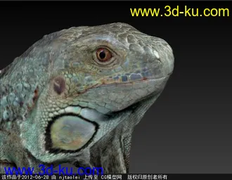 3D打印模型蜥蜴的图片