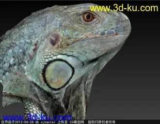 3D打印模型蜥蜴的图片