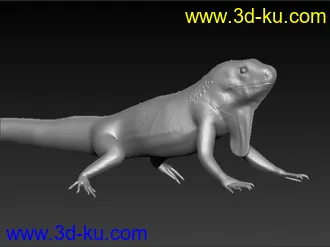 3D打印模型蜥蜴的图片