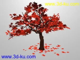 枫树模型的图片