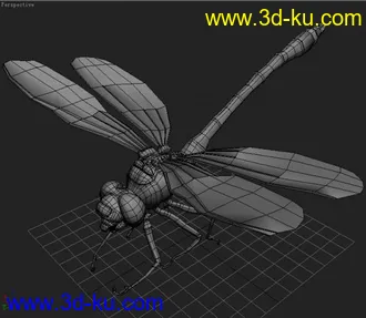 3D打印模型蜻蜓的图片
