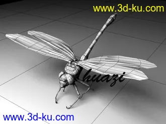 3D打印模型蜻蜓的图片