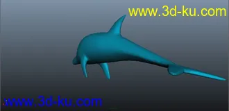 海豚模型的图片