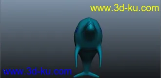 海豚模型的图片