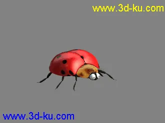 3D打印模型甲克虫的图片