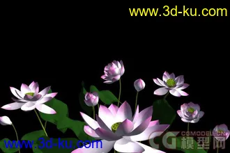 3D打印模型随风而动的荷花，带动画的图片