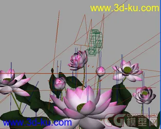 3D打印模型随风而动的荷花，带动画的图片