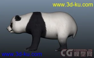 写实熊猫模型分享的图片