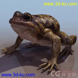 3D打印模型青蛙的图片