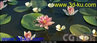 3D打印模型iCube.R&D iFlowers vol.4 Water(水生花卉)的图片