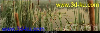 3D打印模型iCube.R&D iFlowers vol.4 Water(水生花卉)的图片