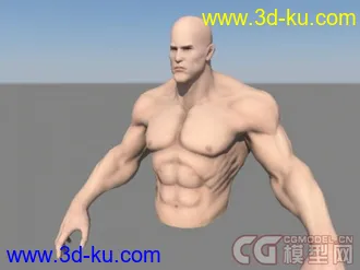 3D打印模型健壮男人（半身）的图片