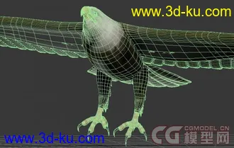 一只苍鹰，老鹰模型下载！的图片