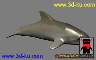 3D打印模型海豚的图片