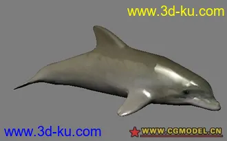 3D打印模型海豚的图片