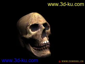 3D打印模型极品骷髅头的图片