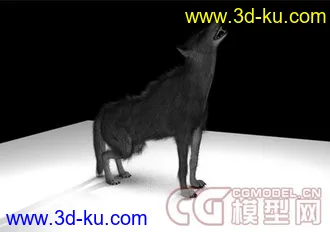 3D打印模型狼 带动画材质~~毛发！！的图片